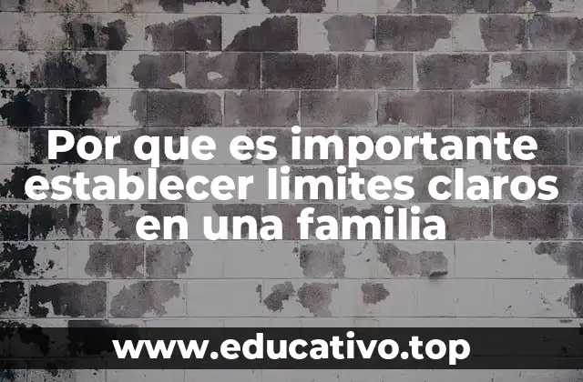 Por que es importante establecer limites claros en una familia