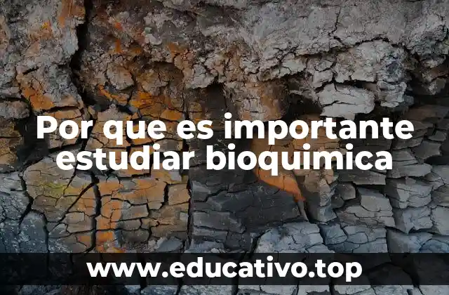 Por que es importante estudiar bioquimica