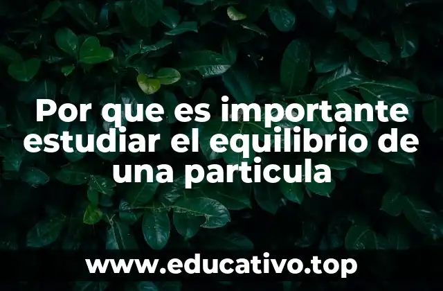 Por que es importante estudiar el equilibrio de una particula