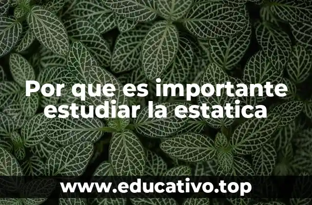 Por que es importante estudiar la estatica