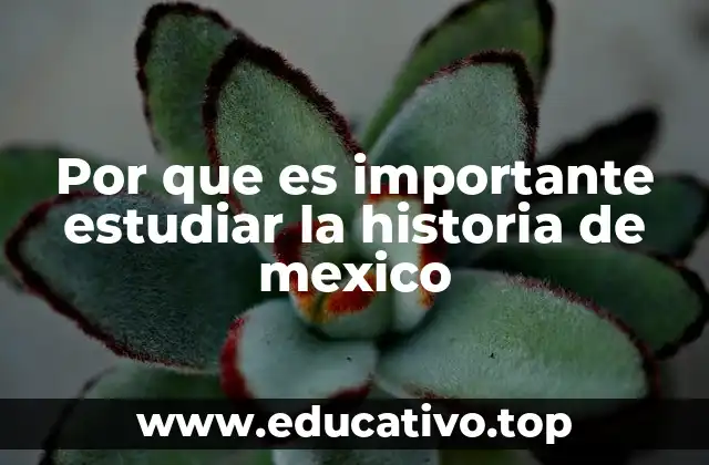Por que es importante estudiar la historia de mexico
