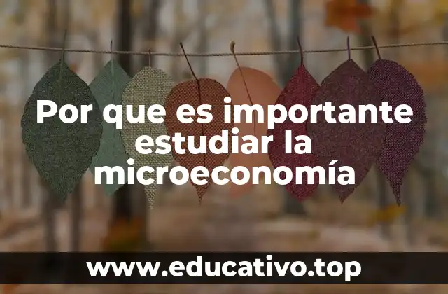 Por que es importante estudiar la microeconomía