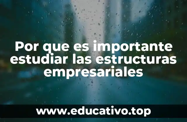 Por que es importante estudiar las estructuras empresariales