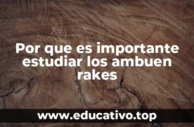 Por que es importante estudiar los ambuen rakes