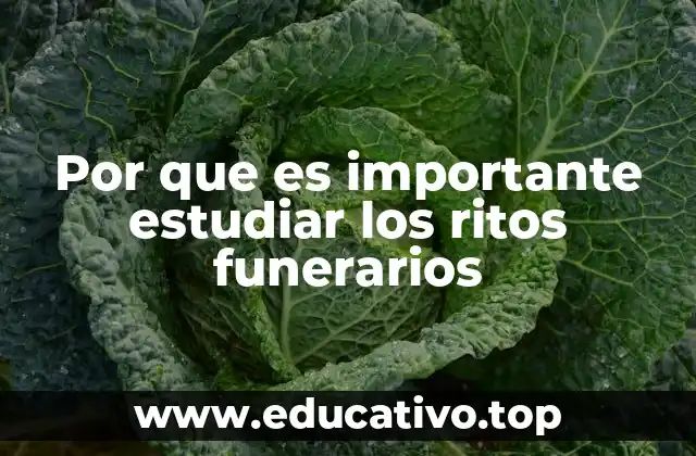 Por que es importante estudiar los ritos funerarios