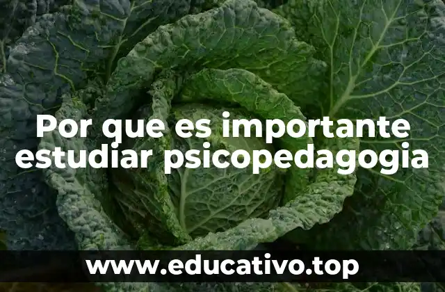 Por que es importante estudiar psicopedagogia