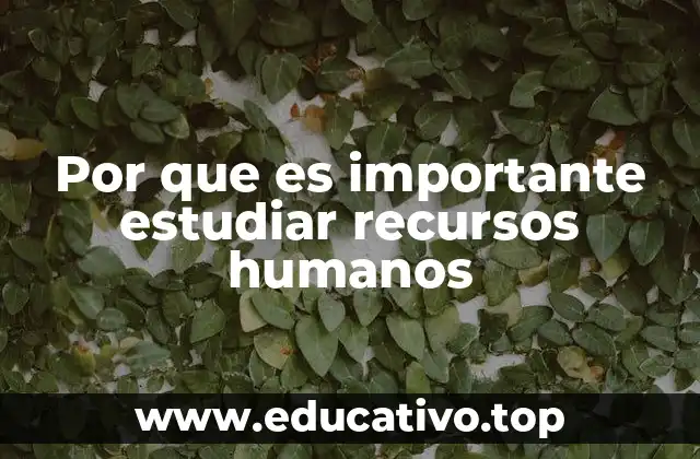 Por que es importante estudiar recursos humanos