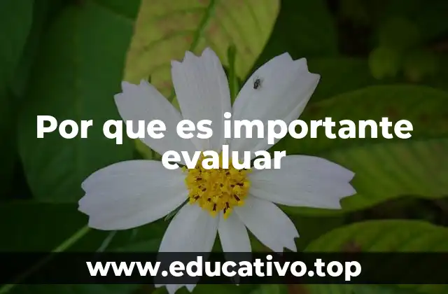 Por que es importante evaluar