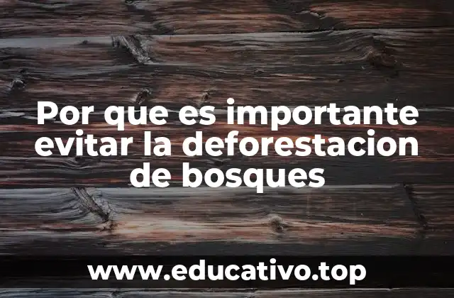 Por que es importante evitar la deforestacion de bosques