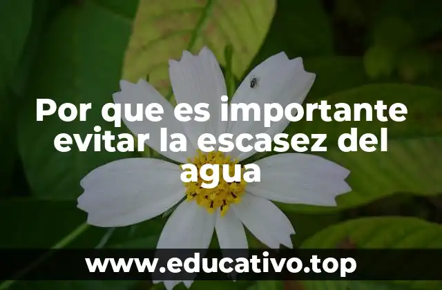 Por que es importante evitar la escasez del agua