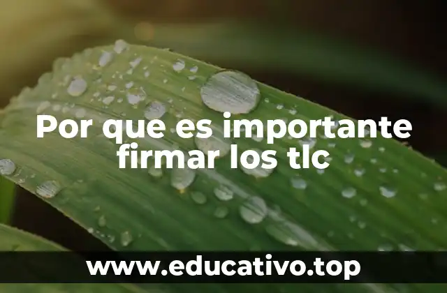 Por que es importante firmar los tlc