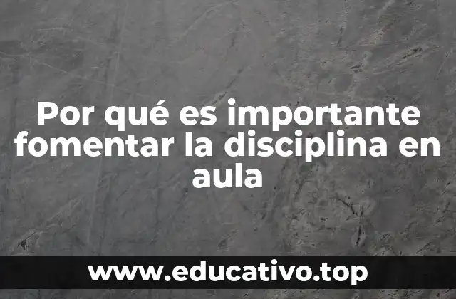 Por qué es importante fomentar la disciplina en aula