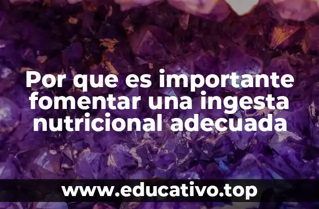 Por que es importante fomentar una ingesta nutricional adecuada