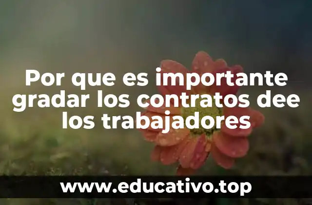 La importancia de documentar cada etapa laboral