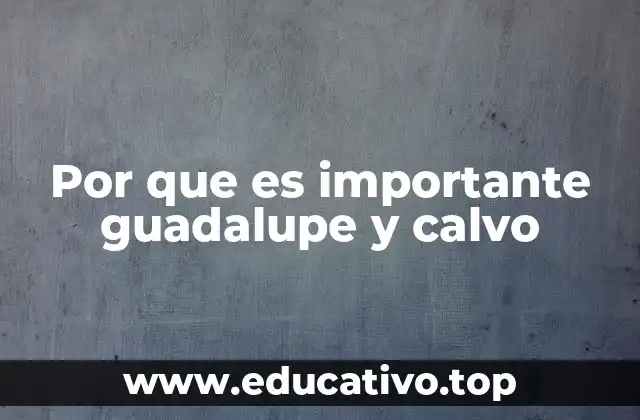 Por que es importante guadalupe y calvo