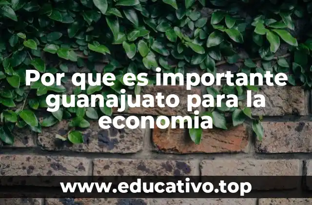 Por que es importante guanajuato para la economia