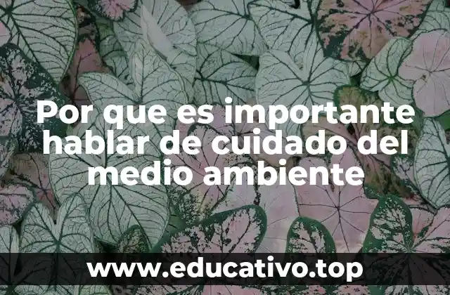 Por que es importante hablar de cuidado del medio ambiente