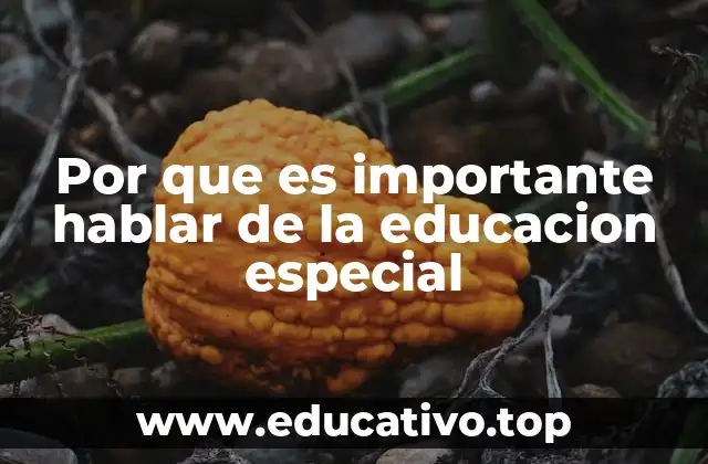 Por que es importante hablar de la educacion especial