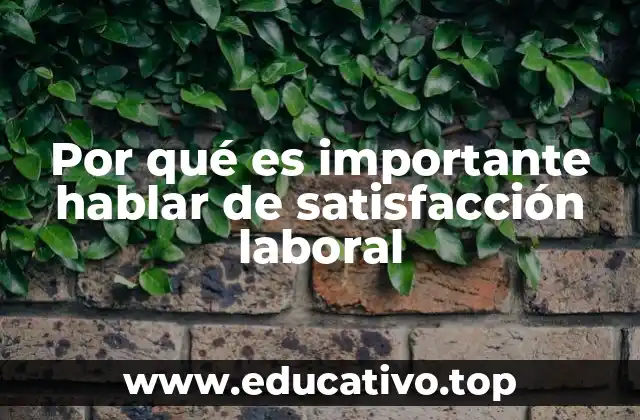 El impacto psicológico y organizacional de la satisfacción en el trabajo