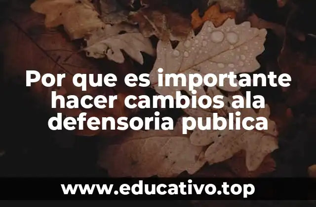 Por que es importante hacer cambios ala defensoria publica
