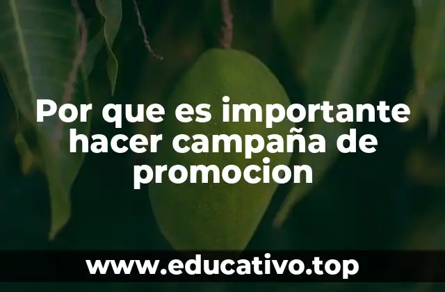 Por que es importante hacer campaña de promocion