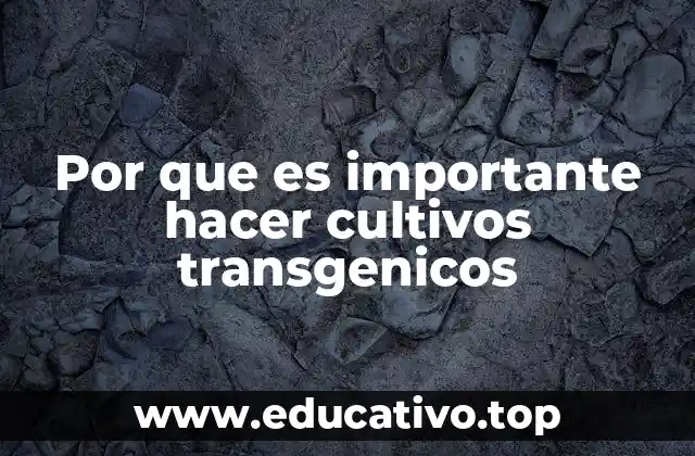 Por que es importante hacer cultivos transgenicos