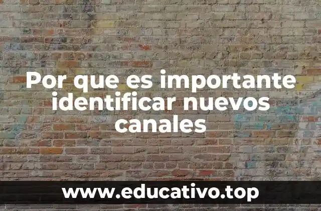 Por que es importante identificar nuevos canales