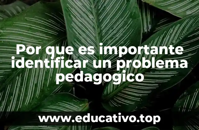 Por que es importante identificar un problema pedagogico