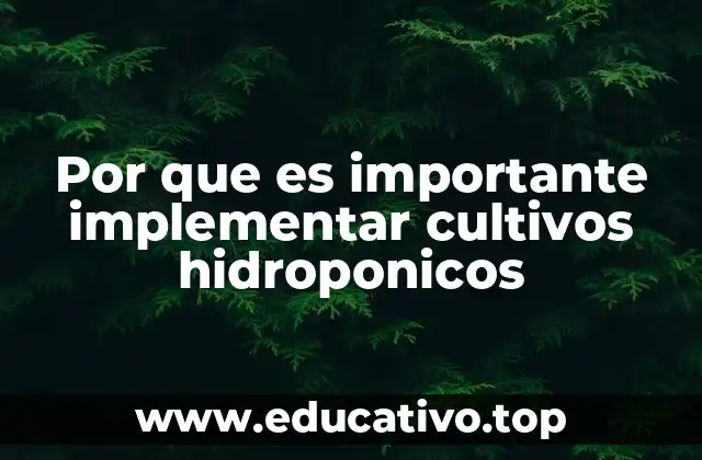 Por que es importante implementar cultivos hidroponicos