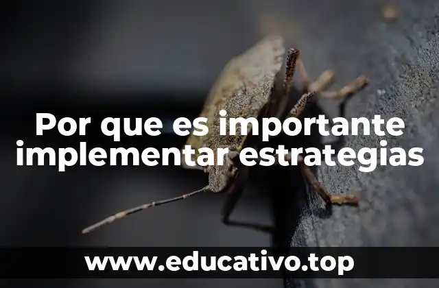 Por que es importante implementar estrategias