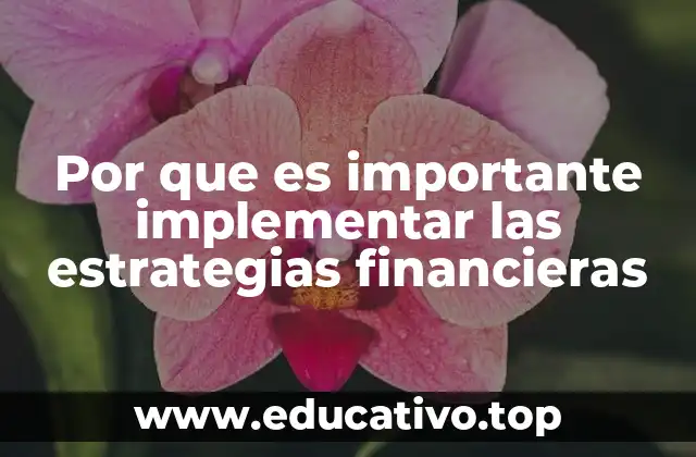 Por que es importante implementar las estrategias financieras