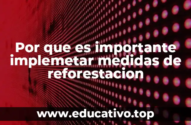 Por que es importante implemetar medidas de reforestacion