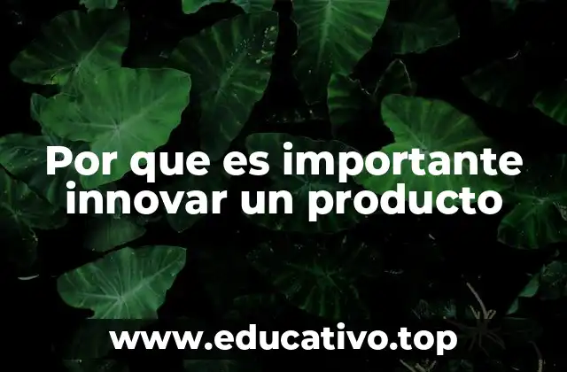 Por que es importante innovar un producto
