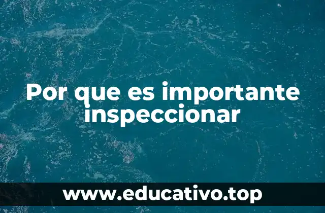 Por que es importante inspeccionar