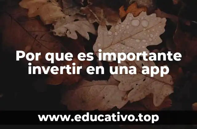 Por que es importante invertir en una app