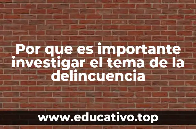 El papel de la investigación en la comprensión de la violencia social