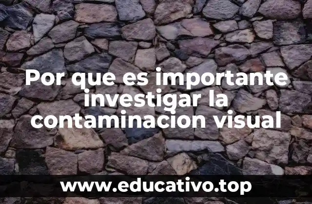 Por que es importante investigar la contaminacion visual
