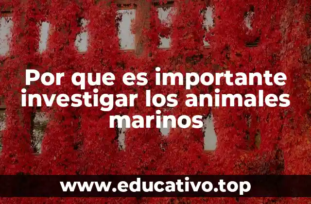 Por que es importante investigar los animales marinos