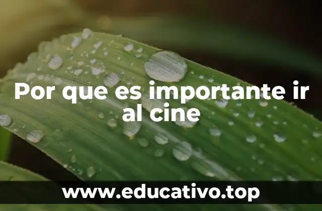 Por que es importante ir al cine