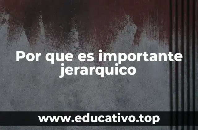 Por que es importante jerarquico