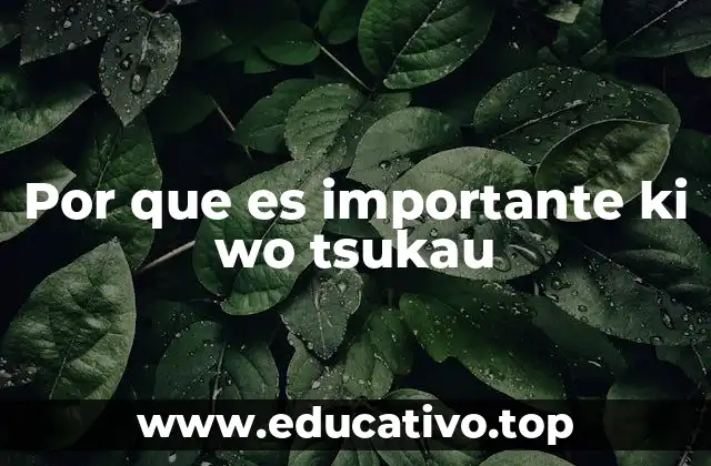 Por que es importante ki wo tsukau