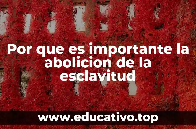 Por que es importante la abolicion de la esclavitud