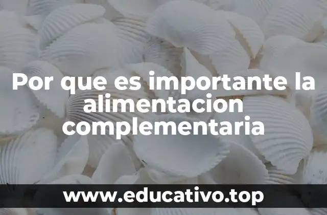 Por que es importante la alimentacion complementaria