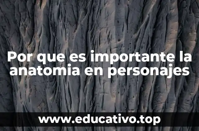 Por que es importante la anatomia en personajes