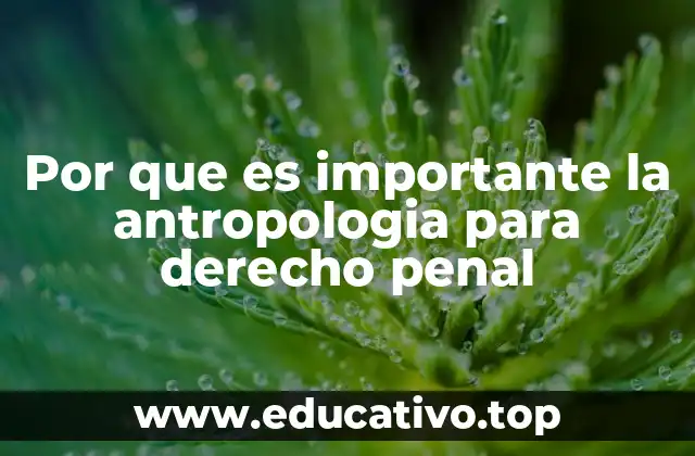 La antropología como puente entre la cultura y el sistema legal