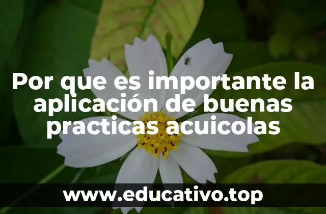 Por que es importante la aplicación de buenas practicas acuicolas