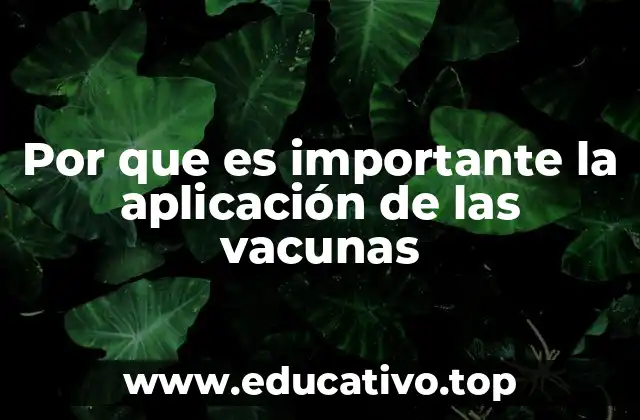 Por que es importante la aplicación de las vacunas