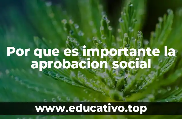 Por que es importante la aprobacion social