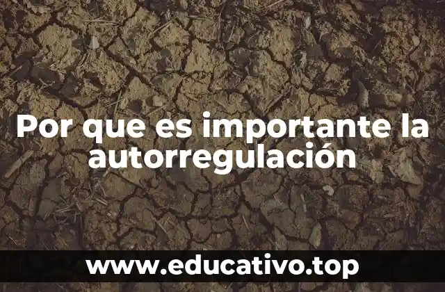 Por que es importante la autorregulación
