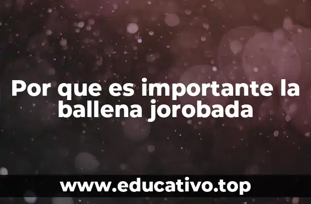 El impacto ecológico de la ballena jorobada